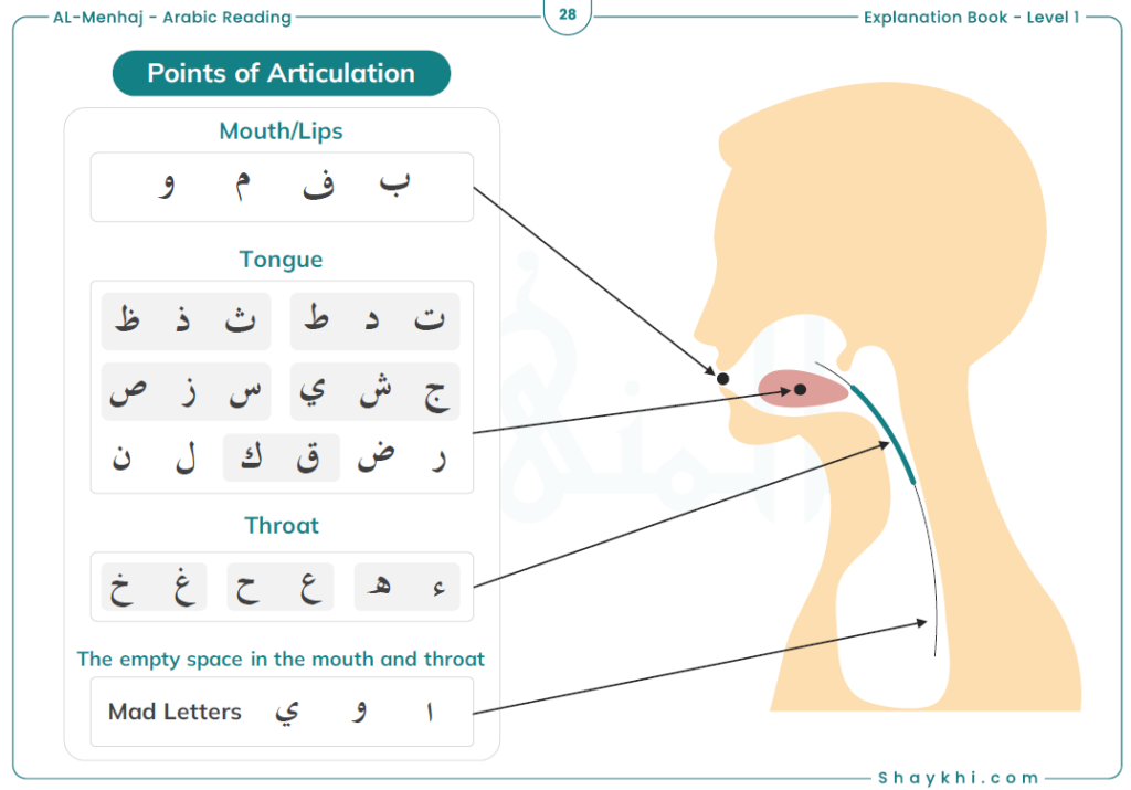 Read the Full Page Aloud Three Times for Familiarity 