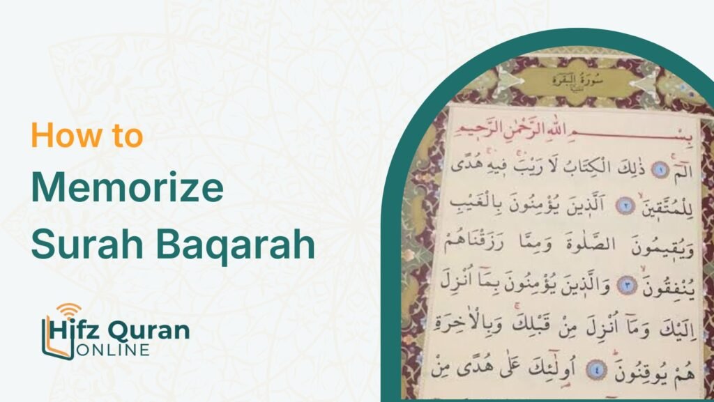 How to Memorize Surah Baqarah – A Practical Step-by-Step Hifz Plan