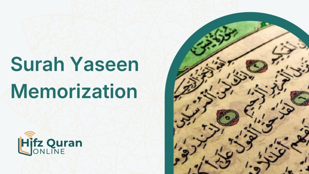 Surah Yaseen Memorization – A Step-by-Step Plan to Learn Surah Yaseen Easily